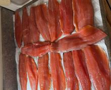 Coho salmon fillets 