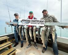 Spring lake trout and coho salmon 